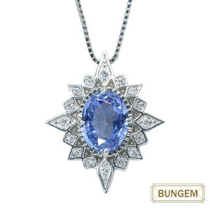 Tt@C lbNX 2.710Jbg v`i PT950/PT850 ō̃R[t[J[ ӕʏt /(u[)/ZNguhEVi/10/bNWG luckjewel/1_