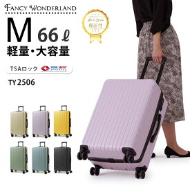 【最大50％OFFクーポン配布中】スーツケース Mサイズ 中型 軽量 キャリーケース ハード 静音 キャスター TSAロック ファスナー キャリーバッグ 大容量 旅行 出張 修学旅行 ビジネス レディース メンズ おしゃれ ブランド 旅行バッグ TY2506