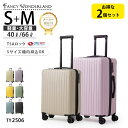【P10倍＋最大50％OFFクーポン配布中】スーツケース 2点セット S Mサイズ 小型 中型 軽量 キャリーケース 機内持ち込み対応 TSAロック付き 静音ダブルキャスター ハードケース 旅行 出張 修学旅行 レディース メンズ TY2506