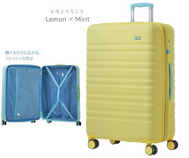 【最大20％OFFクーポン配布中】スーツケース 機内持ち込み sサイズ キャリーケース m lサイズ 軽量 mサイズ 拡張 l キャリーバッグ 小型 中型 大型 TSAロック 静音 旅行 海外 トランクケース 大容量 拡張機能付き かわいい おしゃれ レディース メンズ ty8098