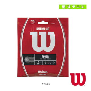 �E�B���\�� �i�`�������K�b�g WILSON NATURAL GUT WRZ999800�^WRZ999900 �E�B���\�� �e�j�X�X�g�����O�i�P���j