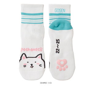 ۂL pochaneco n[t\bNX fB[X NSH03sS[Z ejXEoh~gEFAifB[Xjt