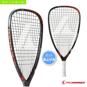 ラケットボール ラケット その他のアウトドア用品の人気商品 通販 価格比較 価格 Com