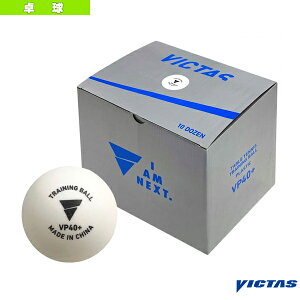 VP40{ g[jO{[ 10_[X 015600sBN^X 싅{[t