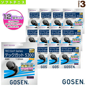 w12PʁxebNKbg 5300 TECGUT 5300 SS603sS[Z \tgejXXgOiPjt