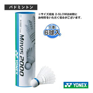 CrX2000P MAVIS 2000P 1{6 M-2000P lbNX oh~gVg iCVg