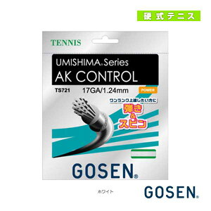 �E�~�V�} AK�R���g���[��17 UMISHIMA AK CONTROL 17 TS721�s�S�[�Z�� �e�j�X�X�g�����O�i�P���j�t