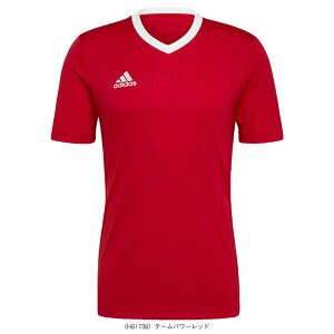 ENTRADA 22 Gg[_22 W[W[ Y ZG486 AfB_X TbJ[EFAiY/jj