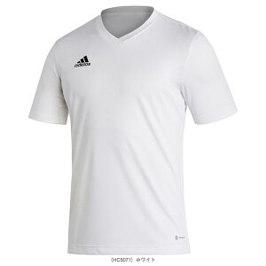 ENTRADA 22 Gg[_22 W[W[ Y ZG486 AfB_X TbJ[EFAiY/jj