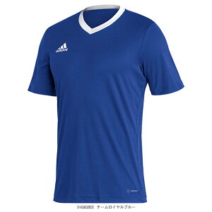 ENTRADA 22 Gg[_22 W[W[ Y ZG486 AfB_X TbJ[EFAiY/jj