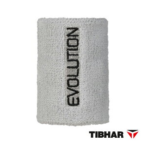 EVOLUTION �G�{�����[�V�������X�g�o���h TJW12 �e�B�o�[ �싅�A�N�Z�T���E����