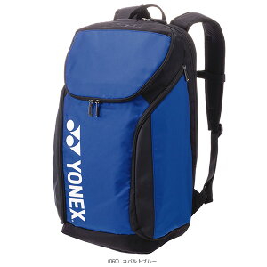 �o�b�N�p�b�NL ���P�b�g2�{���[�� BAG2408L ���l�b�N�X �e�j�X�o�b�O