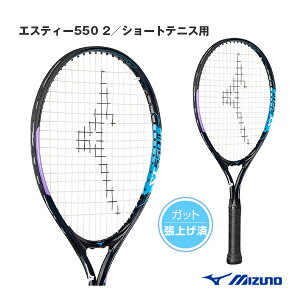 GXeB[550 2 ST-550 2 グσPbg V[gejXp 63JTH455s~Ym ̑Pbgt