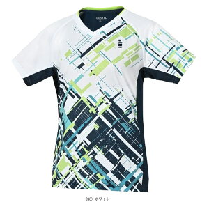 Q[Vc fB[X T2521sS[Z ejXEFAifB[Xjt