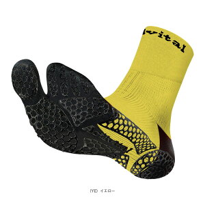 ANeBoC^v ACTIVITAL PRO PbgX|[c XSTCY HRD1077 ANeBoC^ ejXEoh~gEFAiY/jj