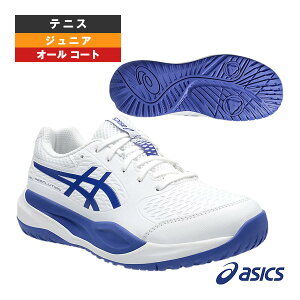 Q][V10GS GEL-RESOLUTION X GS I[R[gp WjA 1044A081 AVbNX ejXV[Y