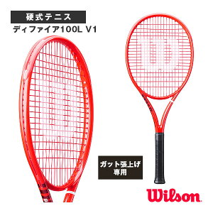 �y���グ�����z�f�B�t�@�C�A100L V1 DEFYER 100L V1 WR215511 �E�B���\�� �e�j�X���P�b�g