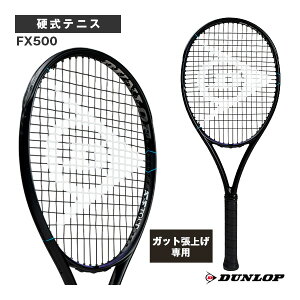 2026�N09�����{�y�\��z�y���グ�����zFX500 SHADOW BLACK Edition �V���h�[�u���b�N�G�f�B�V���� DS22606 �_�����b�v �e�j�X���P�b�g