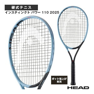 �y���グ�����z�C���X�e�B���N�g �p���[ 110 2025 Instinct PWR 110 2025 232045 �w�b�h �e�j�X���P�b�g