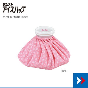 ACXobO STCY 378111 UXg I[X|[cT|[^[PAi