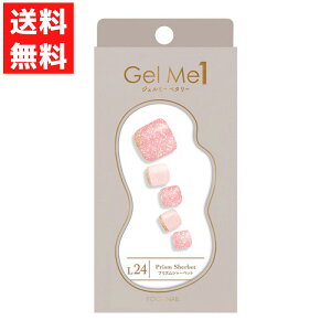 WF~[y^[L24 vYV[xbg tbgp  2025ČF WFlCV[  sN UV /LEDCg