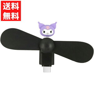 TILN^[Y RlN^t ~jN[t@ USB Type-C N~ SANG-539KU O}fB[Y