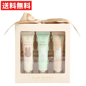 ~btB[ MF}`N[gI Ԃǂ nhN[ {fBN[ 15g 3{Zbg  Mtg ێ qA_@VAo^[