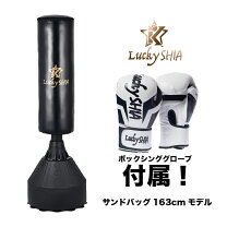 楽天市場】サンド バッグ グローブ セットの通販 