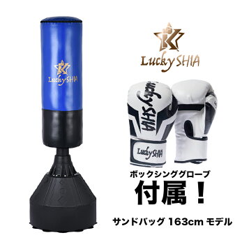楽天市場】ファイティングスタンド4 BODYMAKER ボディメーカー サンド 