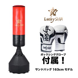 【日本検品/グローブ付】 サンドバッグ 160cm 自宅 自立型 スタンド 家庭用 ボクシング サンドバック 室内 運動 パンチングバッグ ボクササイズ ストレス解消 トレーニング 器具 大人 子供 家トレ [送料無料]