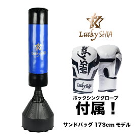 【日本検品/グローブ付】 サンドバッグ 170cm 自宅 自立型 スタンド 家庭用 ボクシング サンドバック 室内 運動 パンチングバッグ ボクササイズ ストレス解消 トレーニング 器具 大人 子供 家トレ [送料無料]