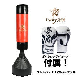 【日本検品/グローブ付】 サンドバッグ 170cm 自宅 自立型 スタンド 家庭用 ボクシング サンドバック 室内 運動 パンチングバッグ ボクササイズ ストレス解消 トレーニング 器具 大人 子供 家トレ [送料無料]