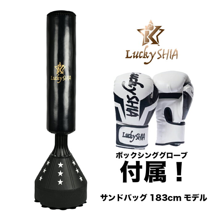 直接引取限定 】サンドバッグ グローブ 動作良好 格闘技 ボクシング 