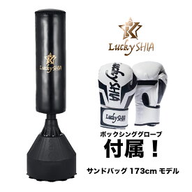 【日本検品/グローブ付】 サンドバッグ 170cm 自宅 自立型 スタンド 家庭用 ボクシング サンドバック 室内 運動 パンチングバッグ ボクササイズ ストレス解消 トレーニング 器具 大人 子供 家トレ [送料無料]