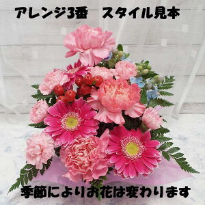 ŒZ17 t[AWgu[Pɉԑ@@yEŋz17܂ j炨܂ŁAԂ̎ނƂprƐFIщ