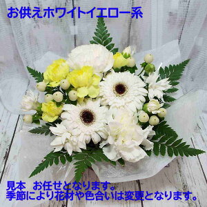 ŒZzB17Y N[։  t[ AWg 2ԂprƐFIщy17܂ N[ ①