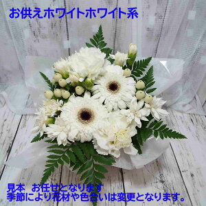 ŒZzB17Y N[։  t[ AWg 2ԂprƐFIщy17܂ N[ ①