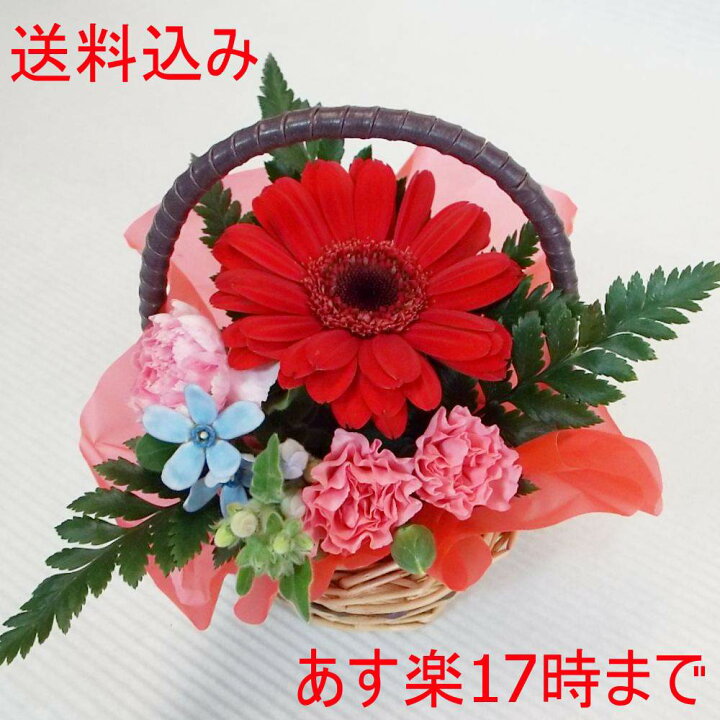 楽天市場 素材 ボリューム 価格にこだわりお届けします 翌日配達可 フラワーショップ はなはな トップページ