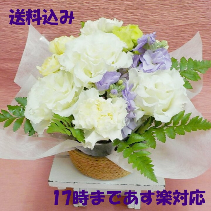楽天市場 素材 ボリューム 価格にこだわりお届けします 翌日配達可 フラワーショップ はなはな トップページ