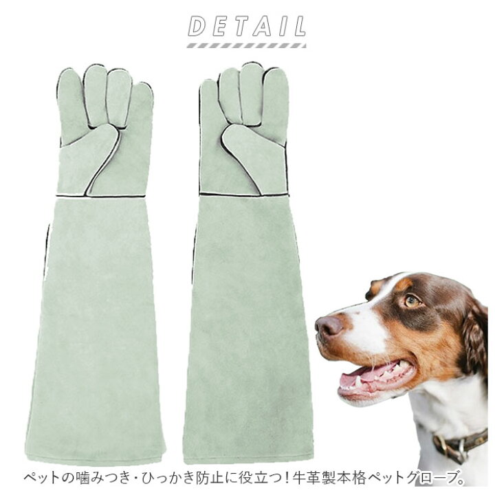 楽天市場 ペット 噛みつき 手袋 定番 ひっかき 防止 ケガ 保護グローブ ペットグローブ 噛みつき防止 しつけ 牛革 鳥 オウム 爬虫類用品 安全 いぬ イヌ 犬用品 猫用品 ねこ ネコ ロング ペット用品 雑貨 グッズ Backyard Family 雑貨タウン