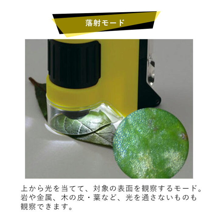 人気急上昇】 ハンディ顕微鏡 DX レイメイ藤井 Raymay 野外観察 携帯用 コンパクト 小学生 持ち歩き LEDライト付 けんびきょう ミクロ 60倍 120倍 RXT300M 観察 趣味 materialworldblog.com 人気急上昇】 ハンディ顕微鏡 DX レイメイ藤井 Raymay 野外観察 携帯用 コンパクト 小学生 持ち歩き LEDライト付 けんびきょう ミクロ 60倍 120倍 RXT300M 観察 趣味 materialworldblog.com