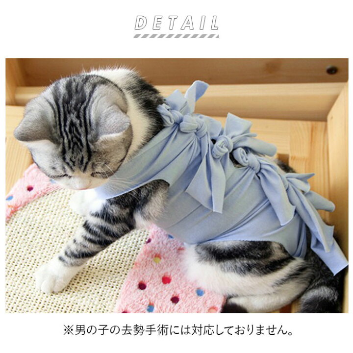 楽天市場】猫 術後服 定番 手術後 傷舐め防止 服 ねこ エリザベスカラー の代用 洋服 ウェア 術後ウェア 皮膚保護 s m l サイズ つなぎ ロンパース かわいい 術後ウェア 猫用 ネコ 犬用 いぬ ペット グッズ ペット用品 : BACKYARD FAMILY 雑貨タウン 楽天市場】猫 術後服 定番 手術後 傷舐め防止 服 ねこ エリザベスカラー の代用 洋服 ウェア 術後ウェア 皮膚保護 s m l サイズ つなぎ ロンパース かわいい 術後ウェア 猫用 ネコ 犬用 いぬ ペット グッズ ペット用品 : BACKYARD FAMILY 雑貨タウン