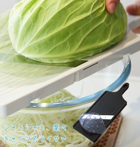 Lxc ؂ XCT[ LxcXCT[ LxcpXCT[ Z 炦  ʔ RCP 322426 TNtg LxcXCT[ LxcpXCT[ XeX @