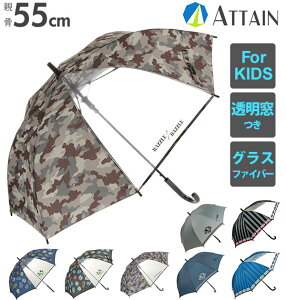 qP Wv 55cm ATTAIN AeC  OXt@Co[ WvP qǂp P LbY v ܂ɂ 1R} t w jq wZ j j̎q {[CY  ubN  lC