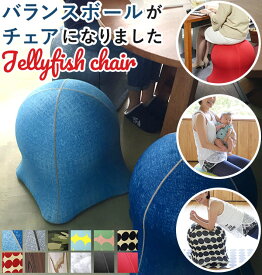 ジェリーフィッシュチェア 定番 jellyfish chair 椅子 おしゃれ ジェリーフィッシュ バランスボール バランスチェア エクササイズ スツール トレーニング インテリア クラゲ 洗える 手洗い セルフケア ながらエクササイズ ながら運動 エクササイズ用DVD付き Rutger