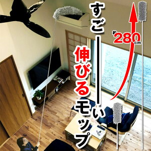 _X^[ bv  Obv nfB bvN[i[ n^L ͂ zR  | V zR GAR  Lk  3m 280cm Ȃ | |ObY X}[g