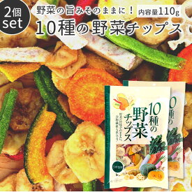 野菜チップス 国産 2袋セット 定番 おやつ あじげん 味源 子供 野菜嫌い 塩味 美味しい おいしい お菓子 駄菓子 食品 110g 2個セット バナナチップス れんこんチップス さつまいもチップス 乾燥野菜ミックス スナ