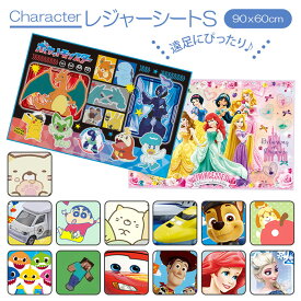 レジャーシート 子供 遠足 通販 コンパクト 60 × 90cm 一人用 1人用 キッズ 子ども レジャーマット シート マット 敷物 キャラクター かわいい 男の子 女の子 ディズニー マリオ サンリオ キティ SKATER スケーター VS1 VS1