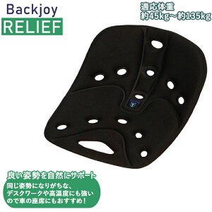 骨盤サポートクッション クッション 座布団 通販 価格比較 価格 Com