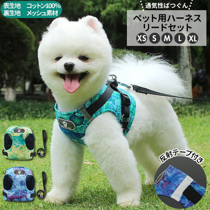 犬 小型犬 ハーネス リード おしゃれ ハーネスリード 可愛い トイプードル 小型 服 デニム 胴輪 かわいい 犬用 ブランド ハーネスリードセット 犬 用ハーネス Ks Rktshop リード 犬 デニム ハーネス セット Mettasaude Com Br